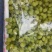 【热卖】精品油桃各种油桃品种规格齐全产地直供欢迎来电联系