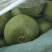 【热卖】精品油桃各种油桃品种规格齐全产地直供欢迎来电联系