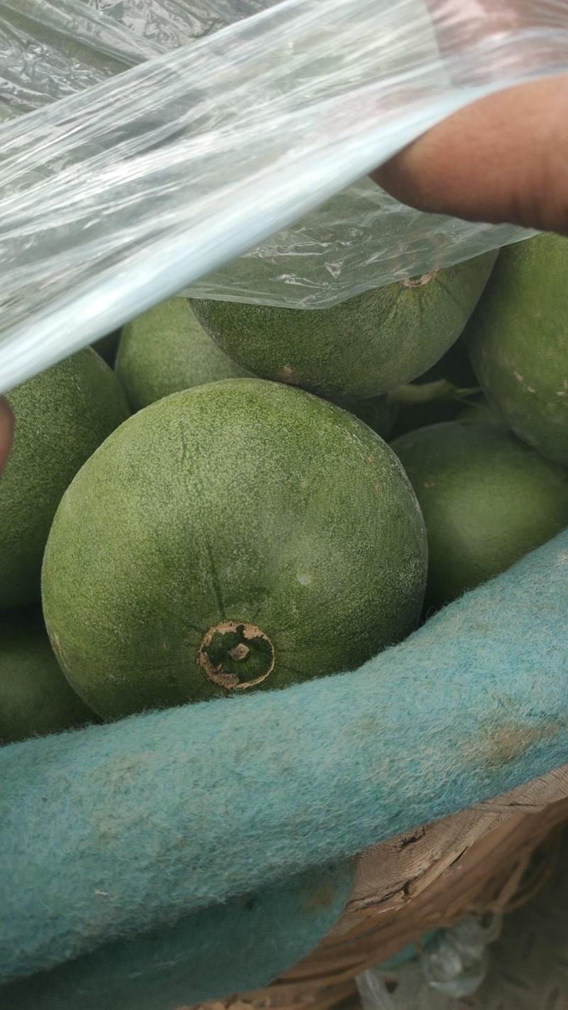 【热卖】精品油桃各种油桃品种规格齐全产地直供欢迎来电联系