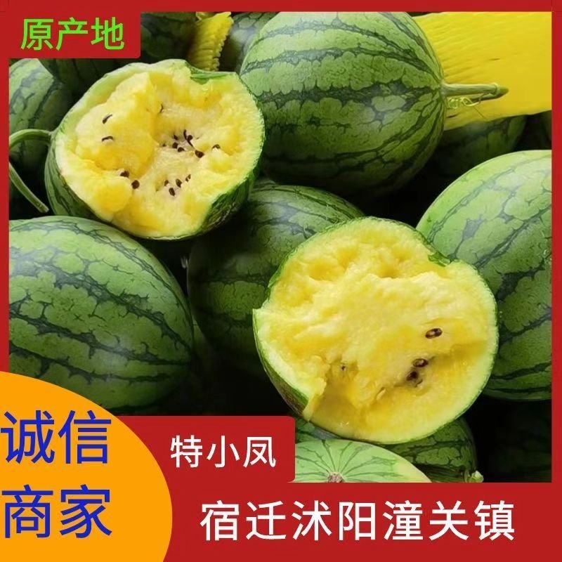 江苏宿迁沭阳产地供货一手货源有场地有工人货量大备货快耐运输