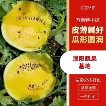 宿迁特小凤礼品西瓜承接商超电商网红带货皮薄多汁基地直供带纸箱