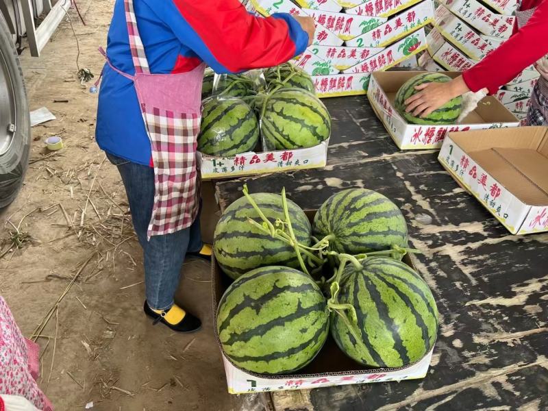 砀山有籽美都，无籽美都，8424.五一大量上市，量大质优