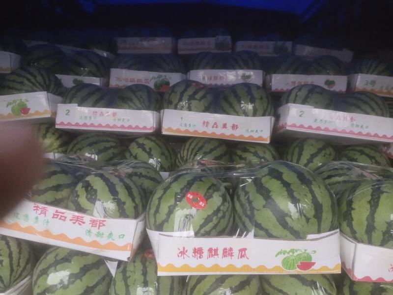 砀山有籽美都，无籽美都，8424.五一大量上市，量大质优