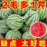 精品西瓜全国发货