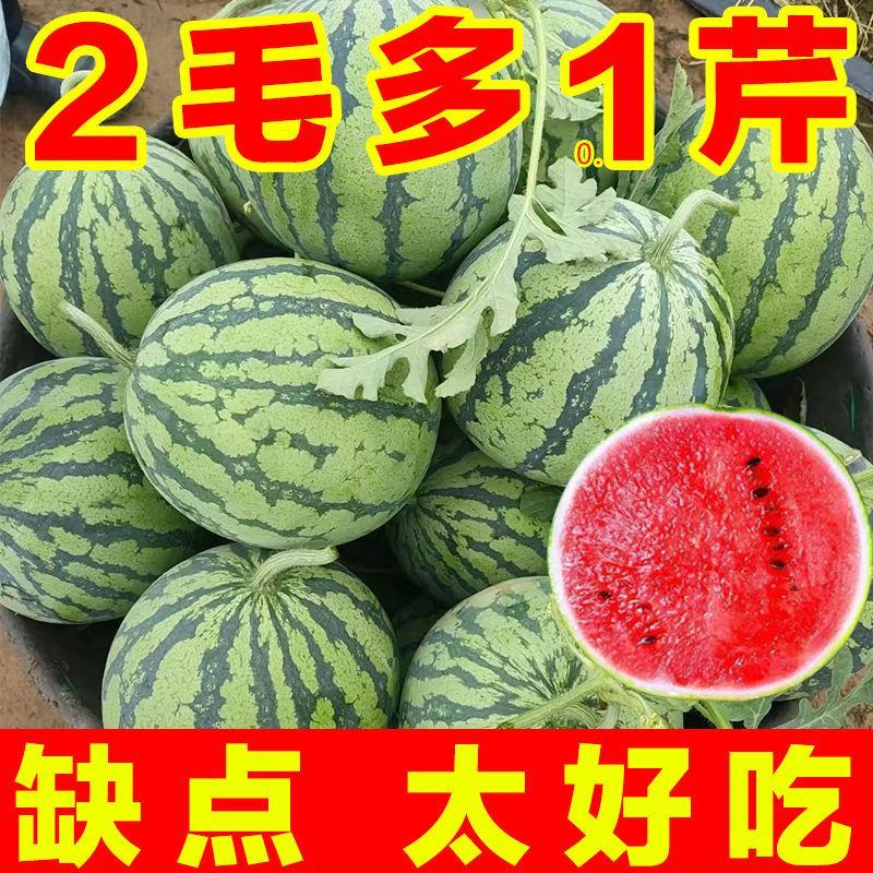精品西瓜全国发货