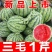 精品西瓜全国发货