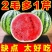 精品西瓜全国发货