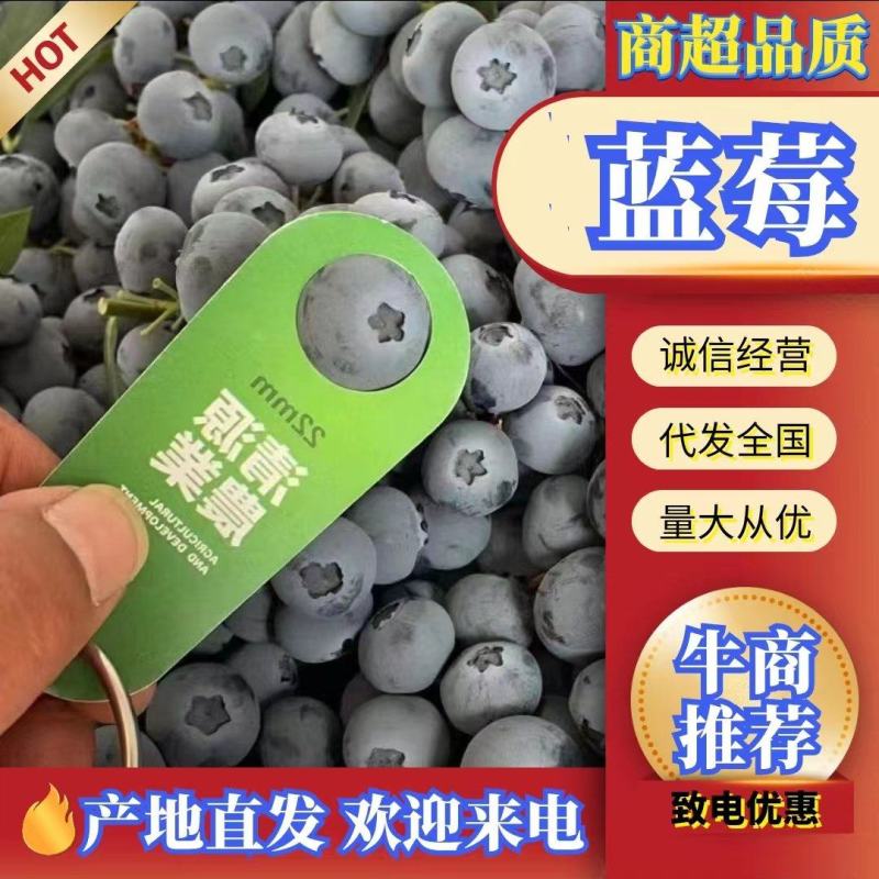 【官方推荐】头茬鲜果蓝莓，一手货源产产地直发，欢迎来电