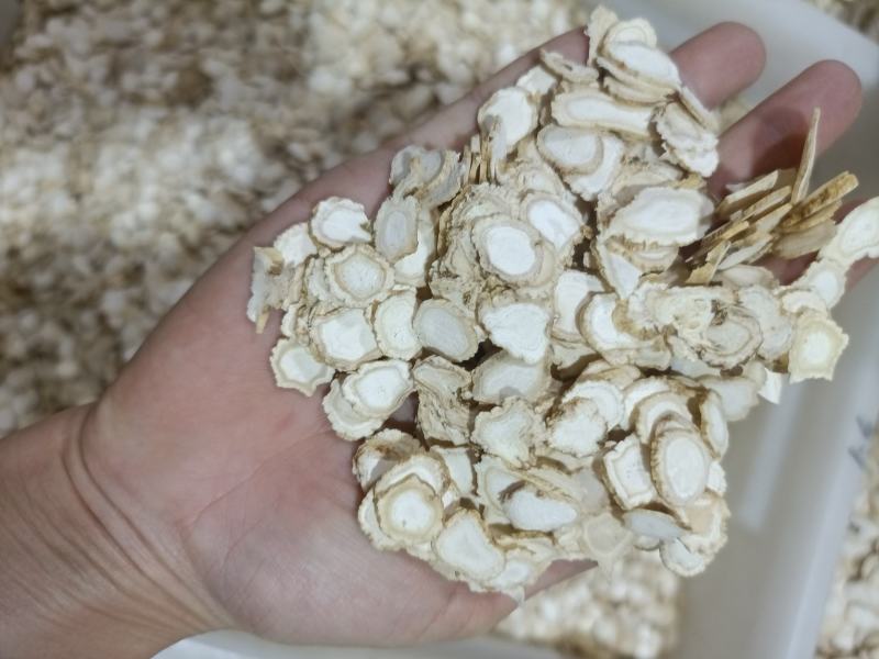 正品人参片1.2可批发可零售量大从优