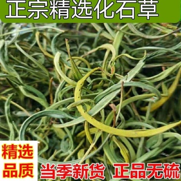 中药材正品野生云南化石草肾精草肾精茶长白山男性滋补去石批