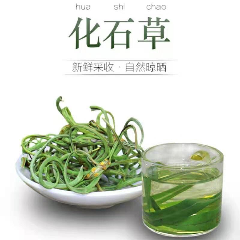 中药材正品野生云南化石草肾精草肾精茶长白山男性滋补去石批