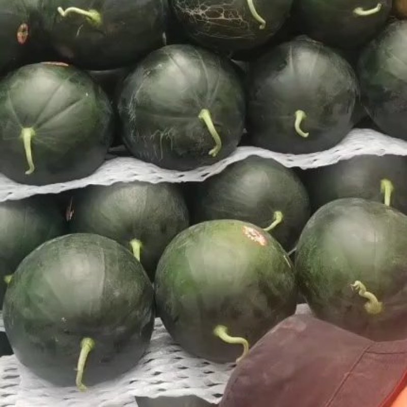 无籽西瓜陕西西瓜黑皮无籽西瓜规格齐全支持视频看货