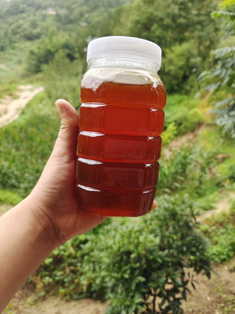 深山养殖野生土蜂密，非意蜂百花蜜假一赔十