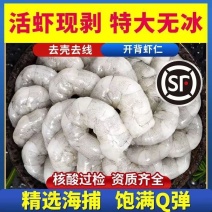 虾仁白虾仁新鲜冷冻水晶大虾仁海鲜对虾批发冷链运输