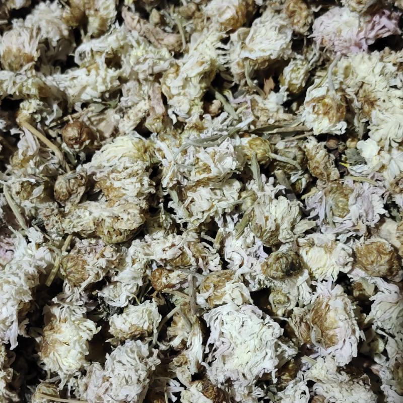 菊花，白菊花，药用菊花，产地河北无硫【贤帅药材批发商行】
