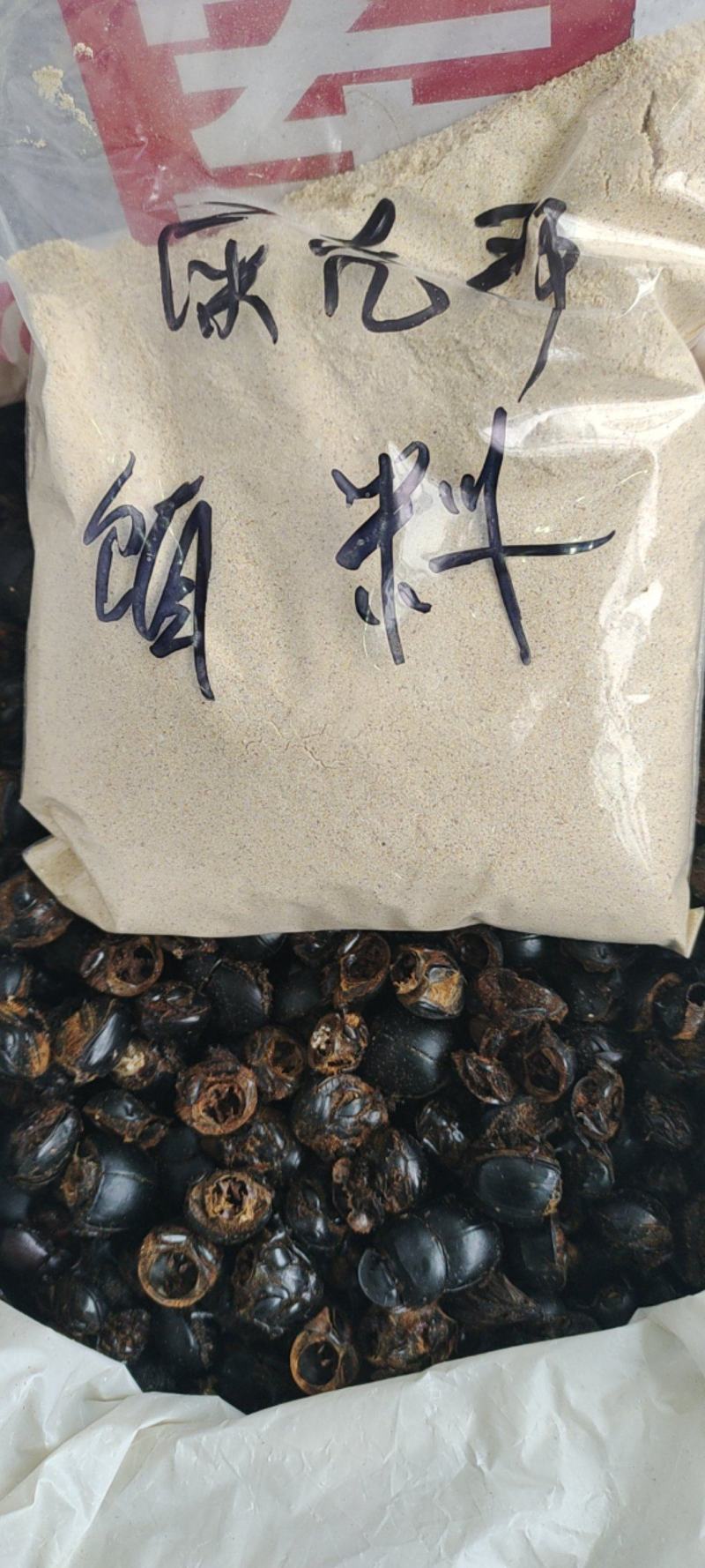 屎壳郎屎壳郎诱捕料一手货源量大从优常期收购屎壳郎
