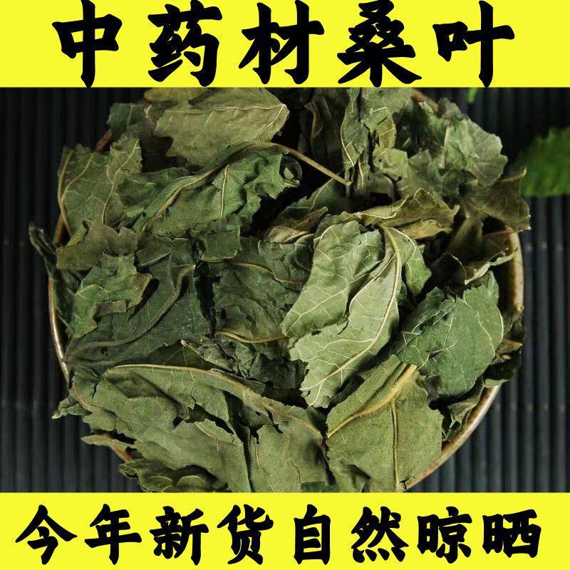 中药材桑叶霜桑叶纯桑叶茶正品霜桑叶霜桑叶茶包邮