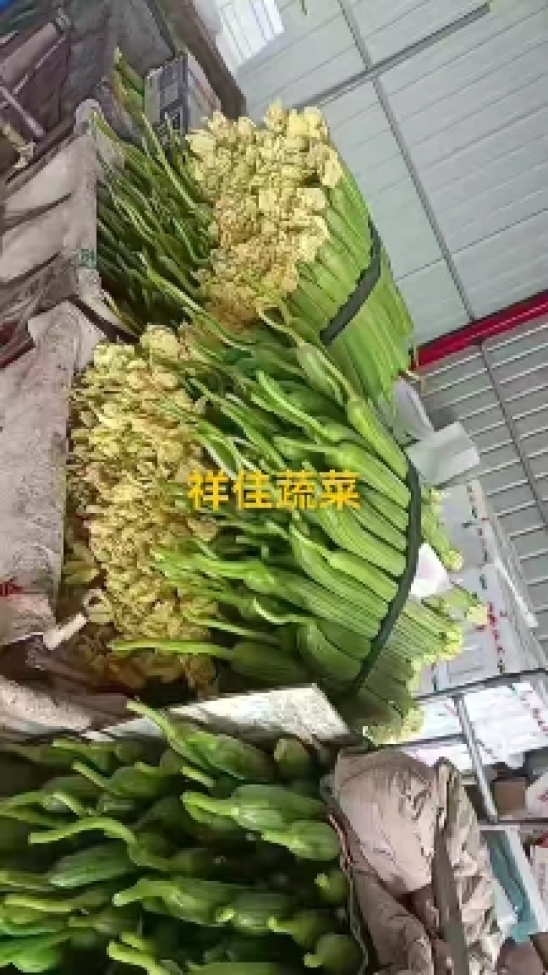 丝瓜（产地直供，一手货源。大量供应，品优价廉）