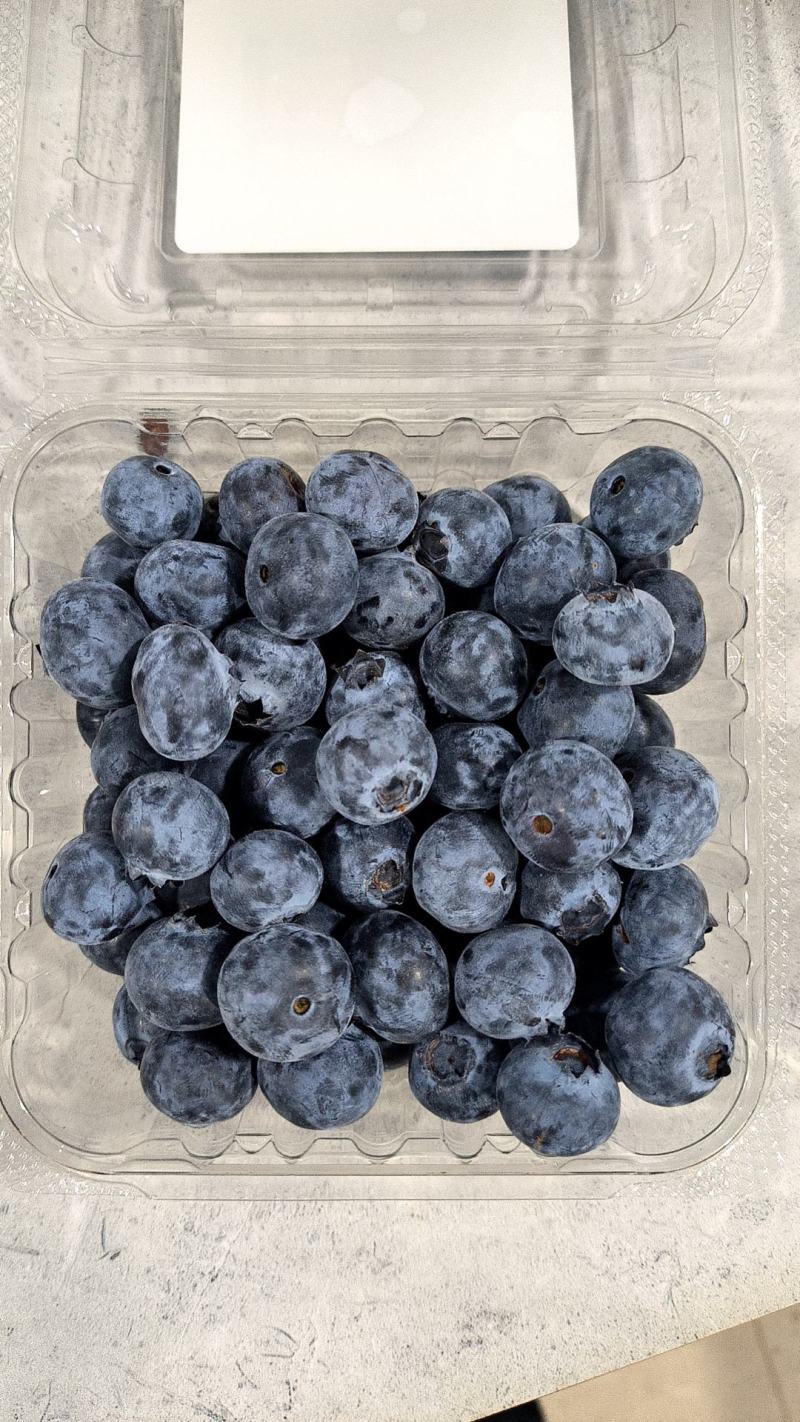 新鲜蓝莓大量上市