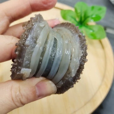 4-6头帝王参高口感鲜食海参货源稳定，欢迎采购