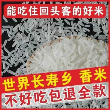 2022年新米象牙米香米晚稻5kG保仔煮饭2O斤猫牙米包