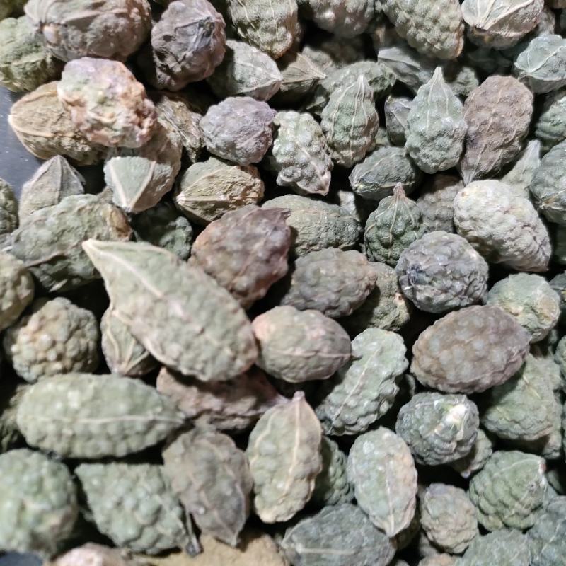 野西瓜，新疆野西瓜、小西瓜，足斤足量纯无硫。
