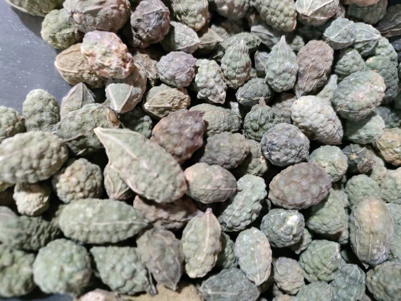 野西瓜，新疆野西瓜、小西瓜，足斤足量纯无硫。