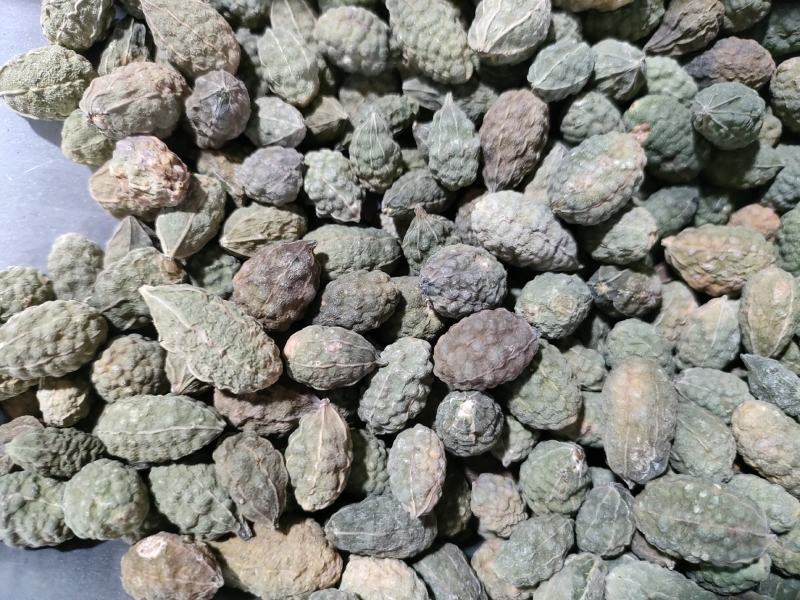 野西瓜，新疆野西瓜、小西瓜，足斤足量纯无硫。