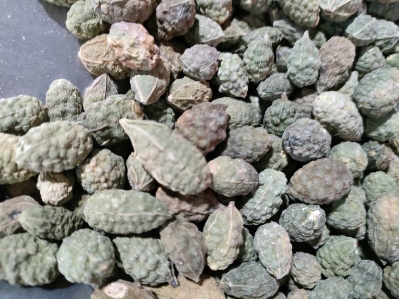 野西瓜，新疆野西瓜、小西瓜，足斤足量纯无硫。