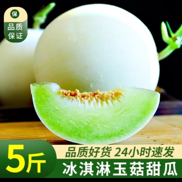山东头茬玉菇甜瓜一件代发品质保证产地直发电商代发稳定供应