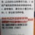 中华懒汉王西瓜种子，炭疽病，果腐病，抗重董，糖度高。