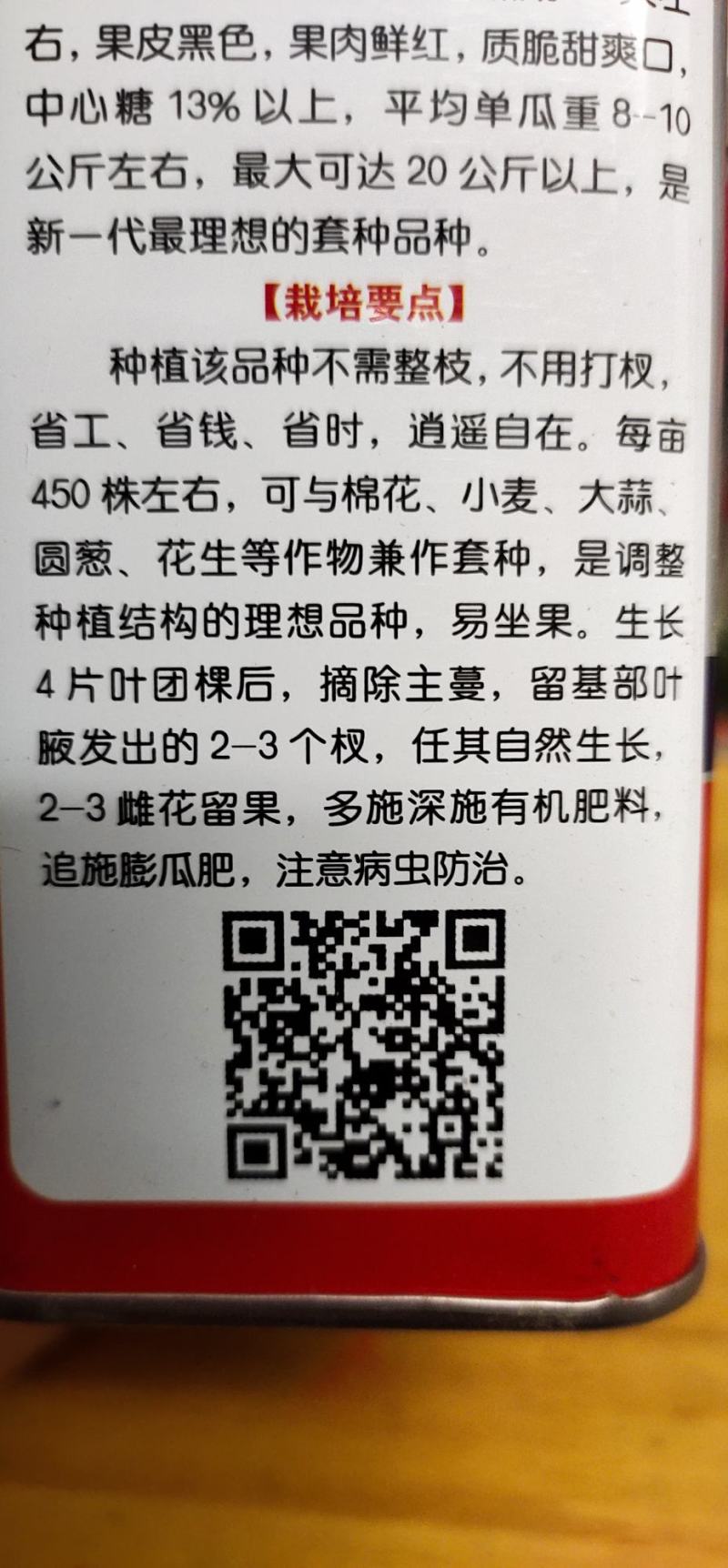 中华懒汉王西瓜种子，炭疽病，果腐病，抗重董，糖度高。