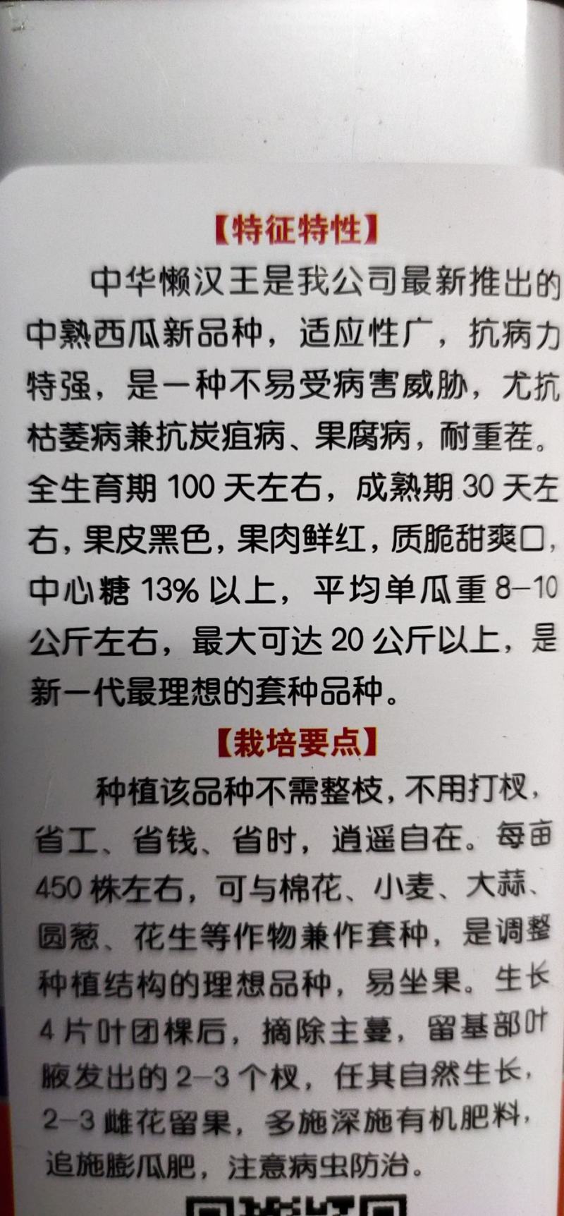 中华懒汉王西瓜种子，炭疽病，果腐病，抗重董，糖度高。