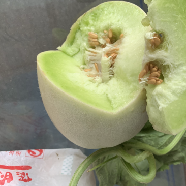 正宗南汇玉姑，软糯香甜，目前成熟周期40+糖度16。