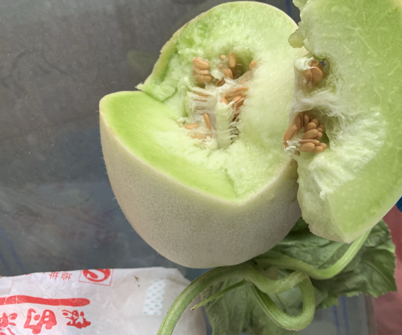 正宗南汇玉姑，软糯香甜，目前成熟周期40+糖度16。