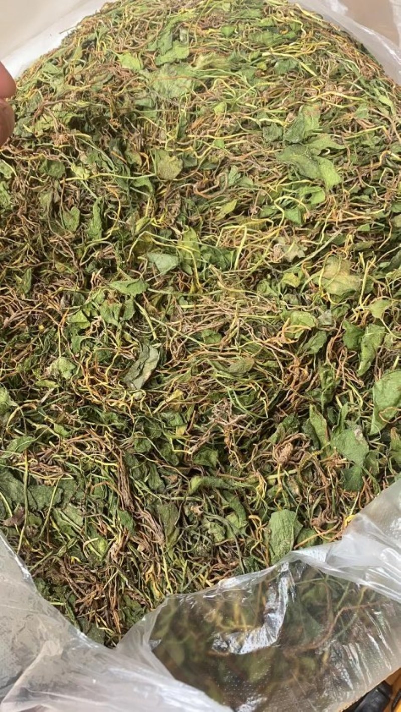 一支箭
