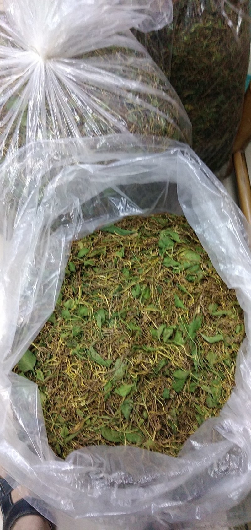 一支箭