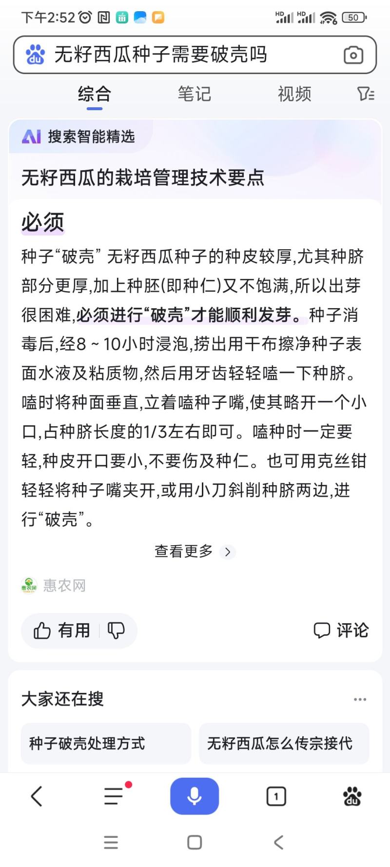 金宝麒麟黄心无籽西瓜种子，50克，纯黑皮，果肉黄品质佳