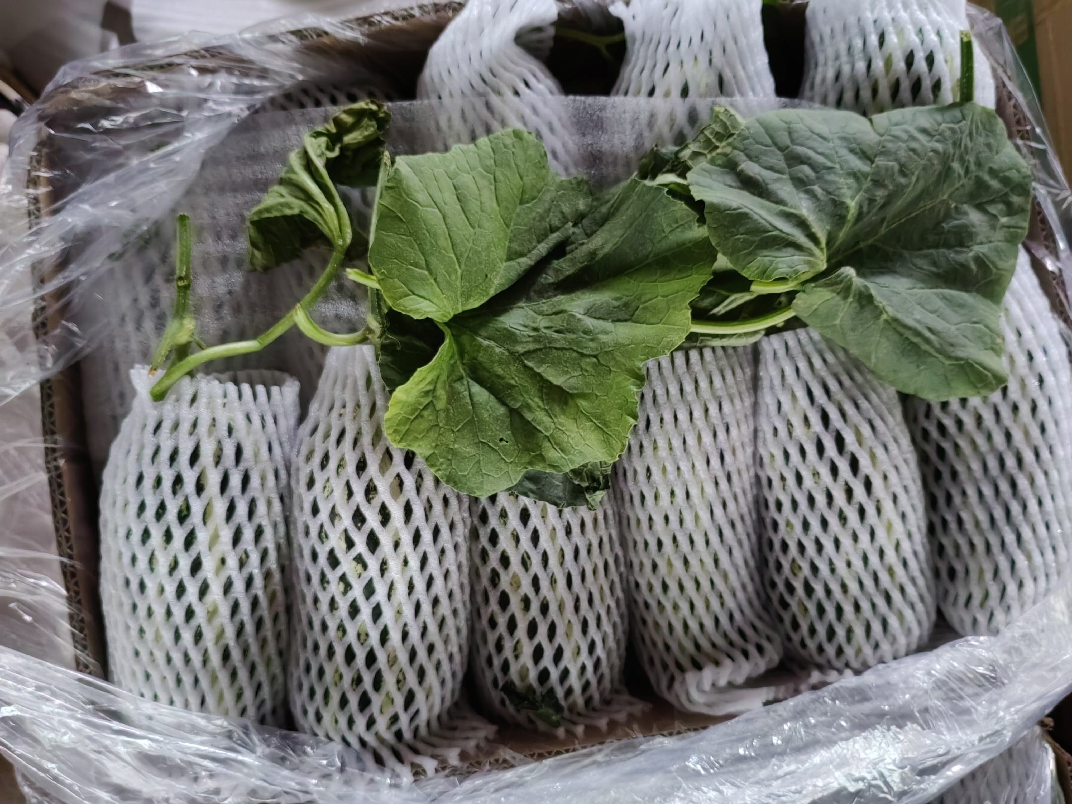 久红瑞甜瓜电商打包发货现场