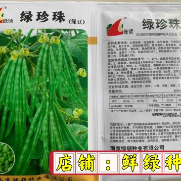 绿领绿珍珠绿豆种子籽粒绿色光泽较强不裂荚商品性优