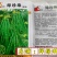 绿领绿珍珠绿豆种子籽粒绿色光泽较强不裂荚商品性优