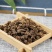 批发现货野生正品猫爪草水洗无硫新货无杂质诚信经营