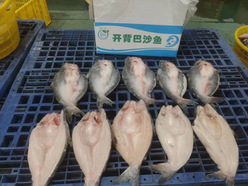 国产开背巴沙鱼