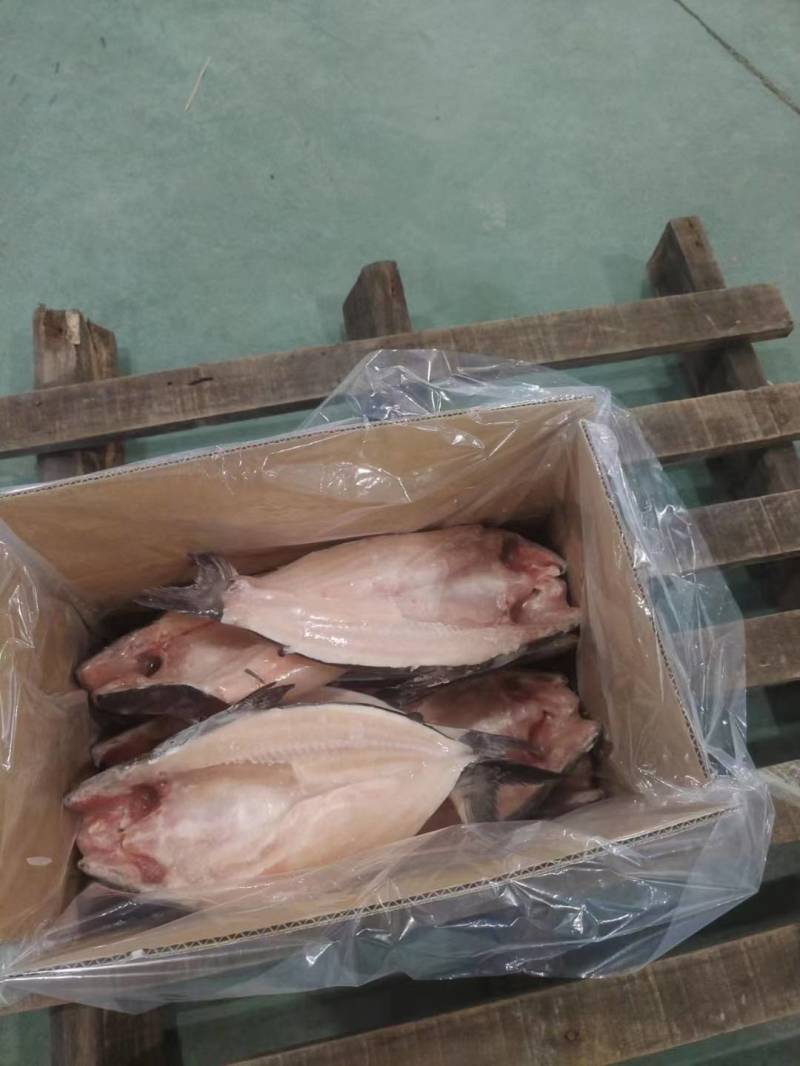 国产开背巴沙鱼