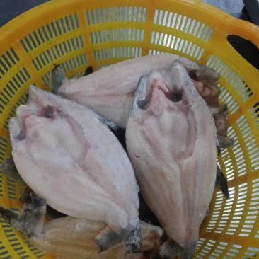 国产开背巴沙鱼