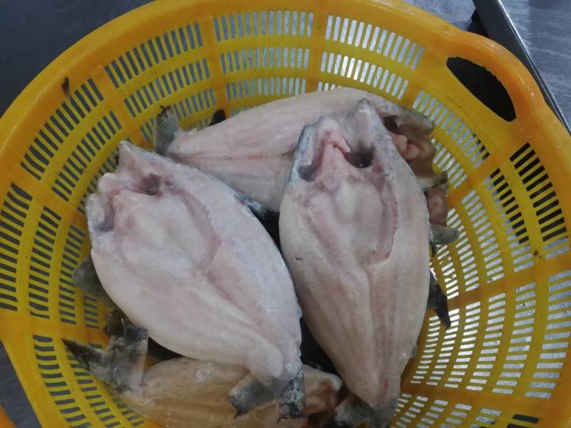 国产开背巴沙鱼