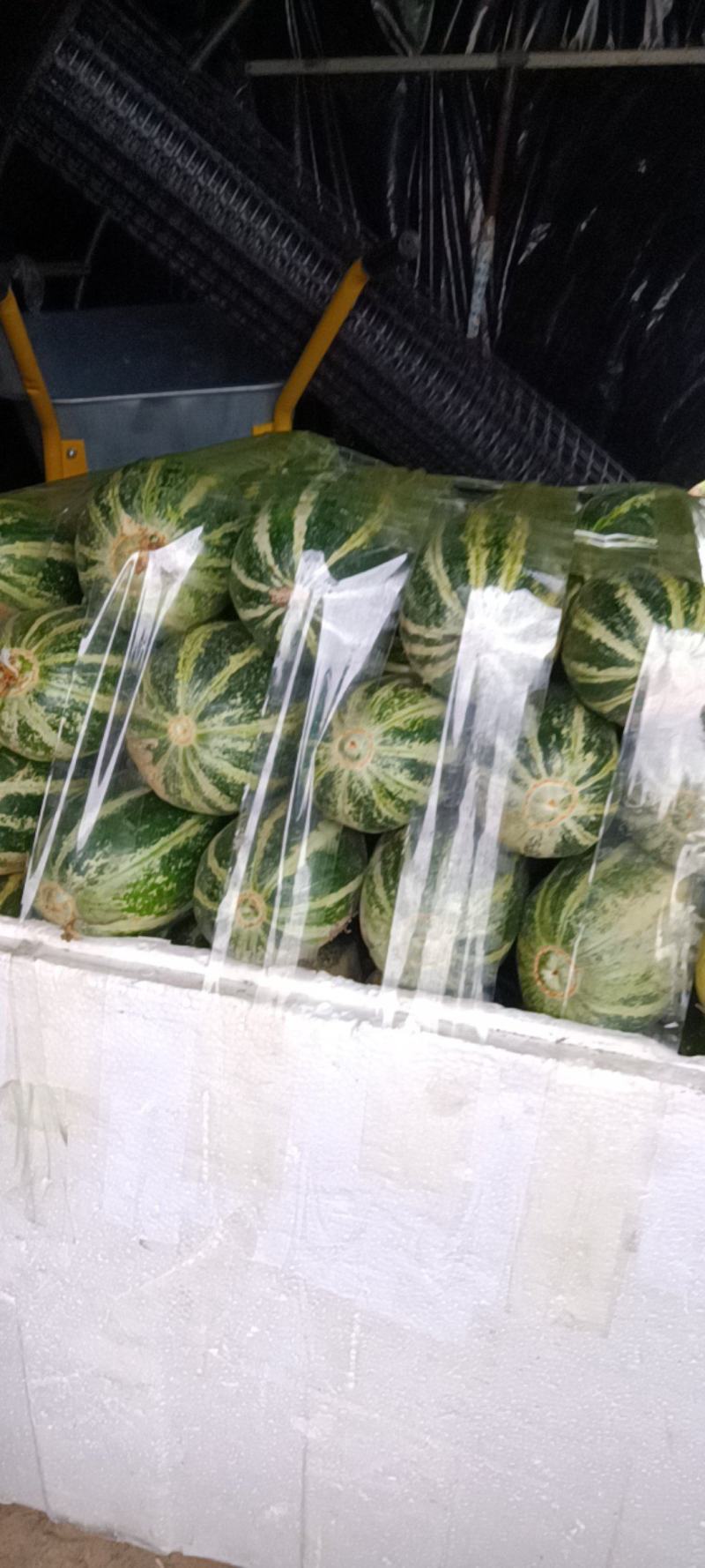 博洋9号甜瓜