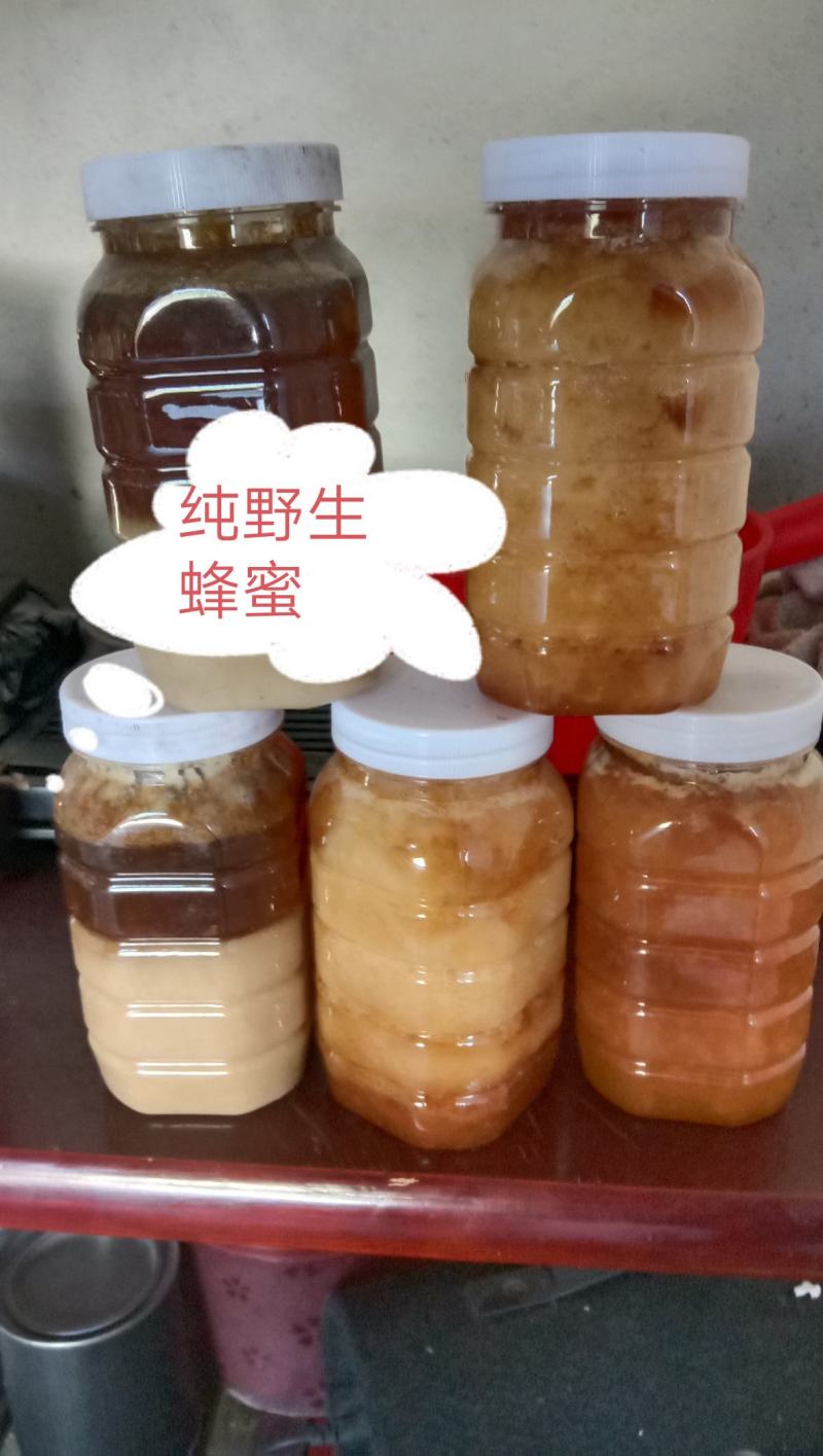 野生土蜂蜜