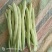 白不老芸豆大量上市中