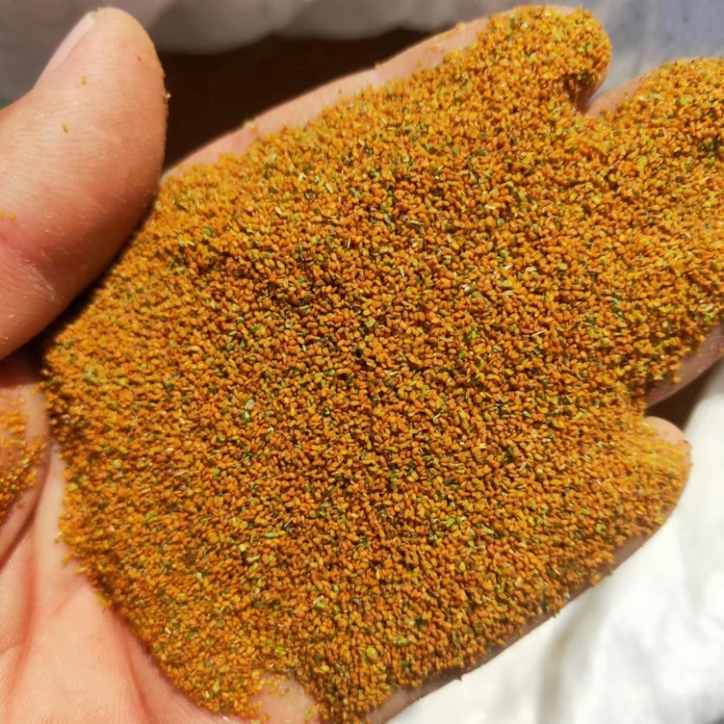 葶苈子大量供应，一手货源，产地直发，价格优惠，可采购